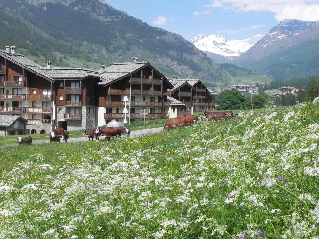 Lagrange Vacances Les Valmonts De Val Cenis ランスルブール・モン・スニ エクステリア 写真